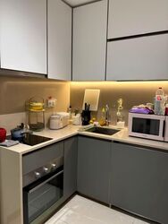 Normanton Park (D5), Apartment #559259641